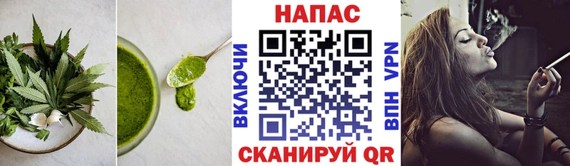 Canna-Cookies конопля  Камышин 
