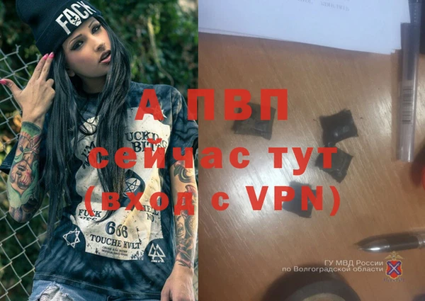 mdpv Володарск