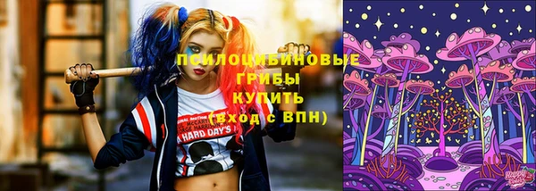 mdpv Володарск