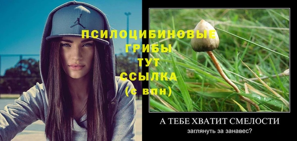 не бодяженный Волоколамск