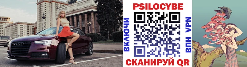 MEGA маркетплейс  Камышин  Галлюциногенные грибы Psilocybe 
