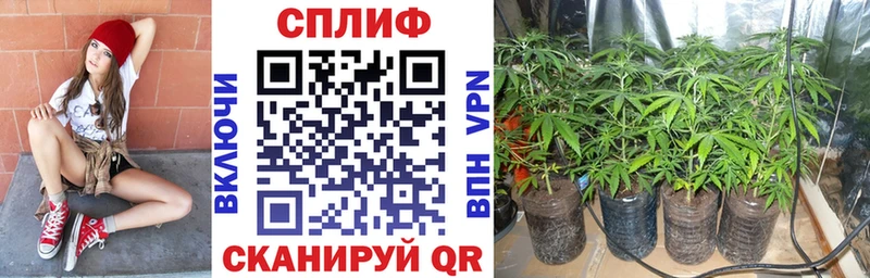 Каннабис планчик  купить   Камышин 